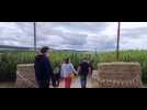 Fête de l'agriculture à Paisy-Cosdon : Labyrinthe de chanvre