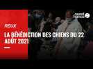 VIDEO. Bénédiction des chiens pour la Saint-Roch, à Reux