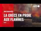 VIDÉO. En Grèce, les incendies menacent toujours Athènes, Olympie et l'île d'Eubée