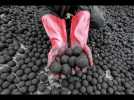 Insolite : une entreprise kenyane transforme les matières fécales en briquettes