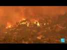 Incendies en Grèce : l'île d'Eubée toujours en proie aux flammes