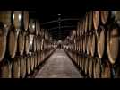 La production de vin en France à un plus bas 