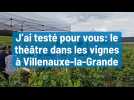 J'ai testé pour vous: le théâtre dans les vignes à Villenauxe-la-Grande