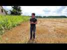 Houplin-Ancoisne : un agriculteur montre une ZNT (zone sans pesticides)