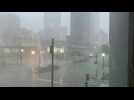 États-Unis: l'ouragan Ida plonge La Nouvelle-Orléans dans le noir