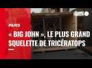 VIDÉO. Paris : « Big John », le plus grand squelette de Tricératops exposé