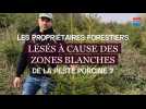 Les forestiers lésés à cause de la peste porcine dans le Sedanais