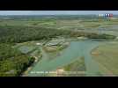 À la découverte de l'estuaire du Payré en Vendée