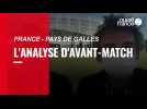 France - pays de Galles : l'analyse d'avant-match par nos reporters