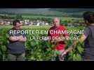 Reporter en Champagne : la fleur dans les vignes