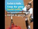 Coup dur pour David Goffin : le tennisman belge se blesse et doit abandonner à Halle