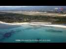 Pollution : des galettes de fioul sur les plages corses