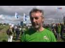 Algues vertes en Bretagne : les associations écologistes fêtent leur victoire