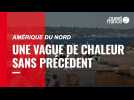 VIDÉO. Amérique du Nord : une vague de chaleur sans précédent