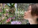 S'immerger dans les fleurs: à Tokyo, l'expérience proposée par un collectif artistique