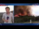 Premier gros incendie de l'été : 250 hectares de végétations en feu près de Narbonne