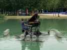 Un piano sur l'eau au Grand jard de Châlons