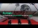 Écologie : Le Festival de Cannes 2021 se met au vert !