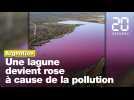 Argentine : Une lagune en Patagonie devient rose à cause de la pollution