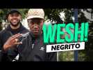 WESH : Negrito, le 77 a son nouveau crack !