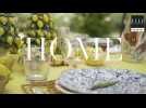 TEASER Home - Chez Sophie Douzal en Provence