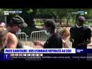 Pass sanitaire : des lyonnais refoulés au zoo