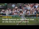 Tennnis : Novak Djokovic en finale à Wimbledon pour viser un 20e titre en Grand Chelem