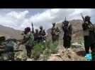 Retrait des troupes en Afghanistan : les Taliban gagnent du terrain