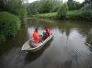 Bachant: nettoyage des berges de la Sambre pour retirer l'hydrocotyle, plante invasive