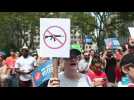 Armes à feu dans l'État de New York : des mesures d'urgence pour limiter les armes à feu