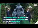 Les princes Harry et William se réunissent pour inaugurer une statue de Lady Diana