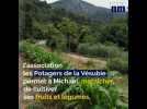 Les Potagers de la Vésubie, 6 ans après