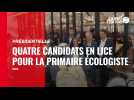 VIDÉO. Présidentielle 2022 : quatre candidats en lice pour la primaire écologiste
