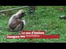 Le zoo d'Amiens inaugure ses nouvelles installations