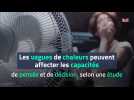 Les vagues de chaleurs peuvent affecter les capacités de pensée et de décision