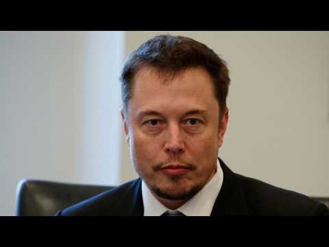 VIDEO : Elon Musk and Amber Heard Spotted Hanging Out in Australia