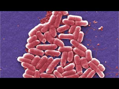 VIDEO : Nursing Homes Face Drug-Resistant Bacteria