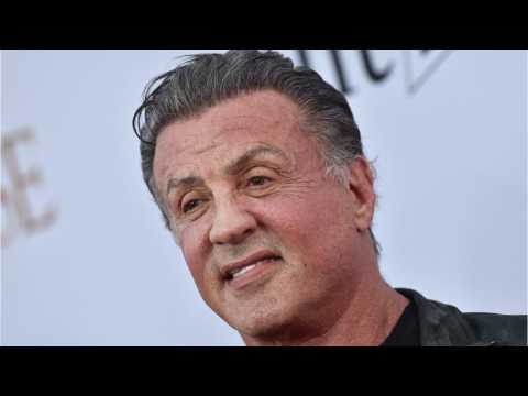 VIDEO : Sylvester Stallone May Join More Marvel Movies