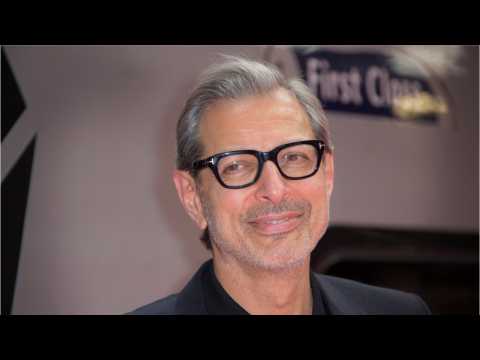 VIDEO : Jeff Goldblum Set To Return  to 'Jurassic Park' Franchise