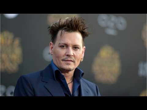VIDEO : Johnny Depp Surprised Park Goers On Disney Ride