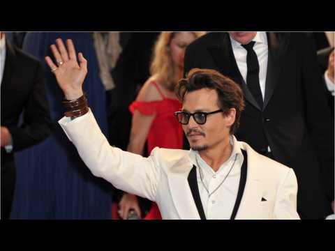 VIDEO : Johnny Depp Is The 'King Of The Jungle'