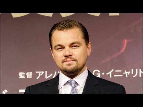 VIDEO : Leonardo DiCaprio Is Single Again