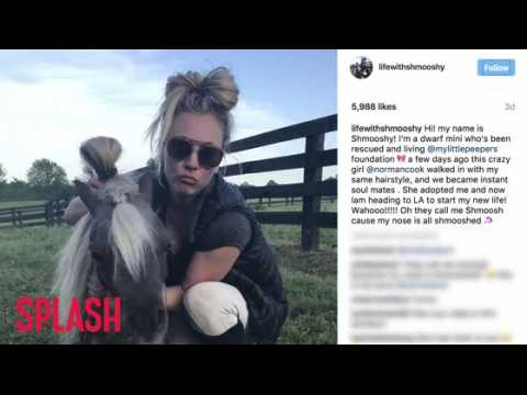 VIDEO : Kaley Cuoco Adopts New Mini Pony Named Schmooshy