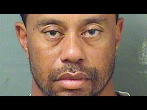 VIDEO : Golfer Tiger Woods Arrested On Suspicion Of DUI