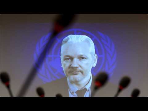 VIDEO : Julian Assange Has Allies In Pamela Anderson and Lady Gaga