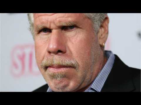 VIDEO : Ron Perlman To Star In Thriller 'Grady'