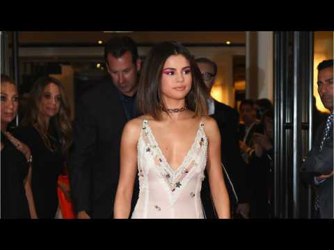 VIDEO : What To Know About Selena Gomez's 2017 Met Gala Dress