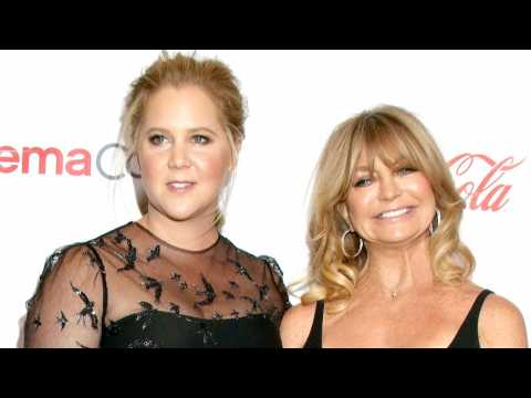 VIDEO : Amy Schumer's Dad Meets Goldie Hawn & It's Adorable