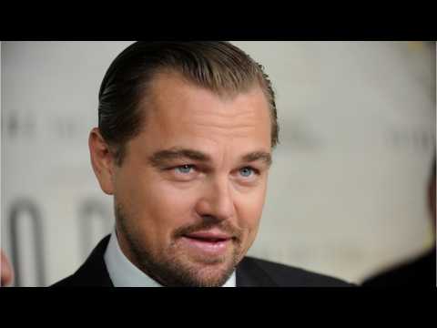 VIDEO : Leonardo DiCaprio To The Rescue