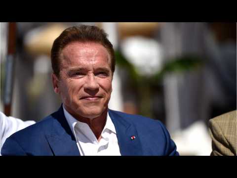 VIDEO : SNL Actor's Directorial Debut Stars Arnold Schwarzenegger